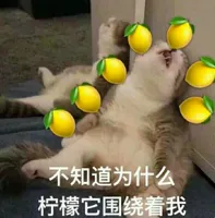 又交新欢了！堪称“内地萧亚轩”