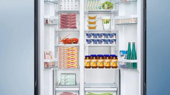 双十一，有哪些大容量的冰箱值得买？