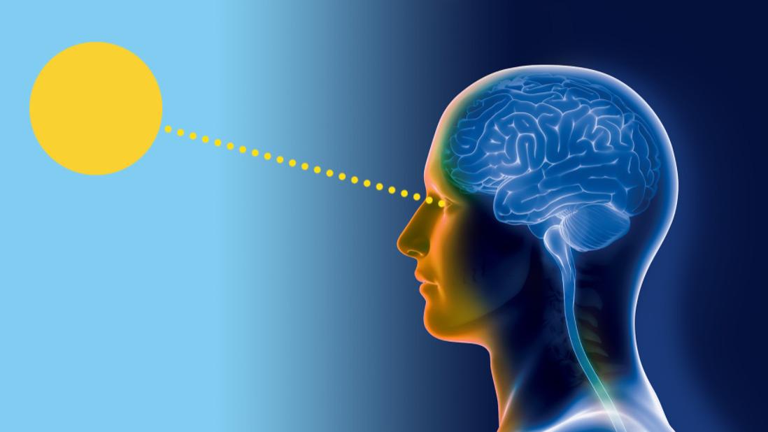 睡眠背后有何科学道理？如何保持科学作息时间？