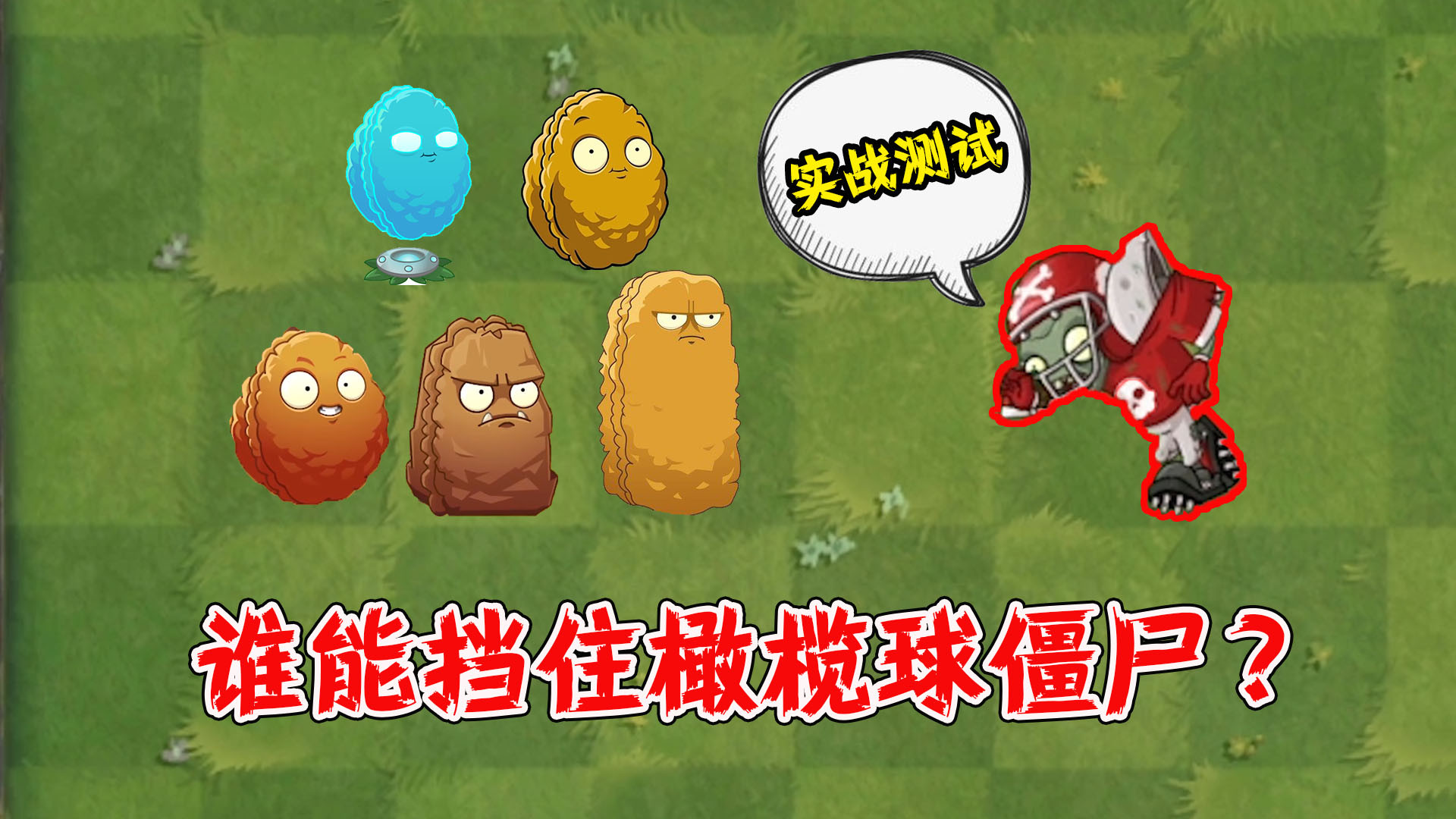 植物大战僵尸2:用5种坚果防御,谁能挡住橄榄球僵尸?
