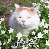 我的未来就是梦[已注销]2