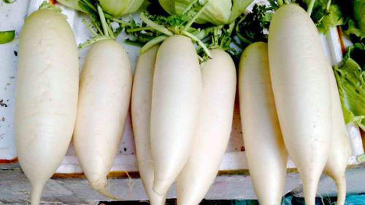 蒸鸡蛋羹|入冬后多吃萝卜，教你4种新吃法，营养解馋，端上桌全家抢着吃