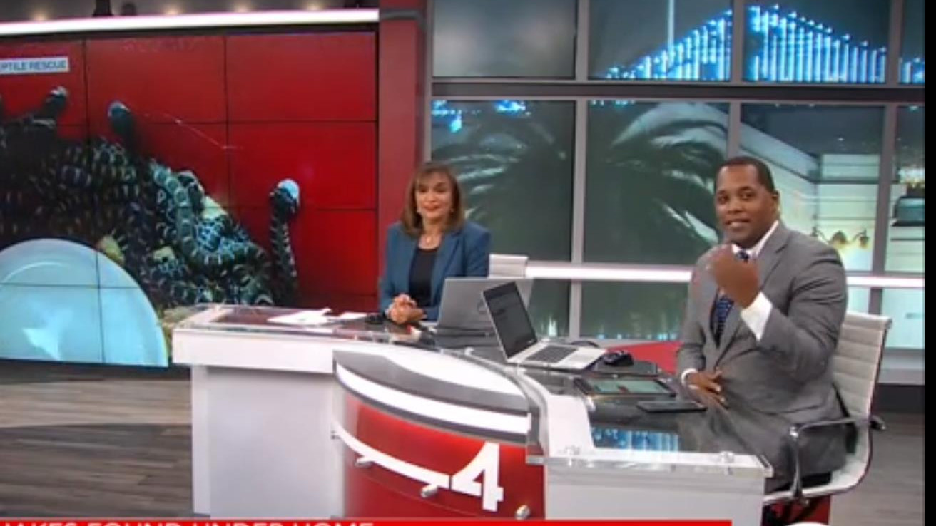 地板下藏了90多条剧毒蛇，几年看不到一只老鼠：原来下面有个蛇窝