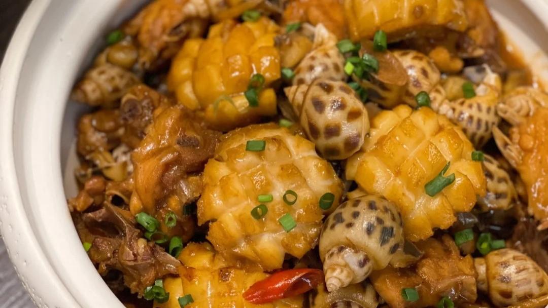 啤酒|美食家常菜推荐：鲍鱼花螺鸡煲，砂锅生蚝鸡煲，啤酒牛腩煲，超美味哟