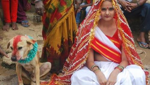 印度有多不堪？为“图吉利”人与狗结婚，牟暴利丧尽天良倒卖人骨
