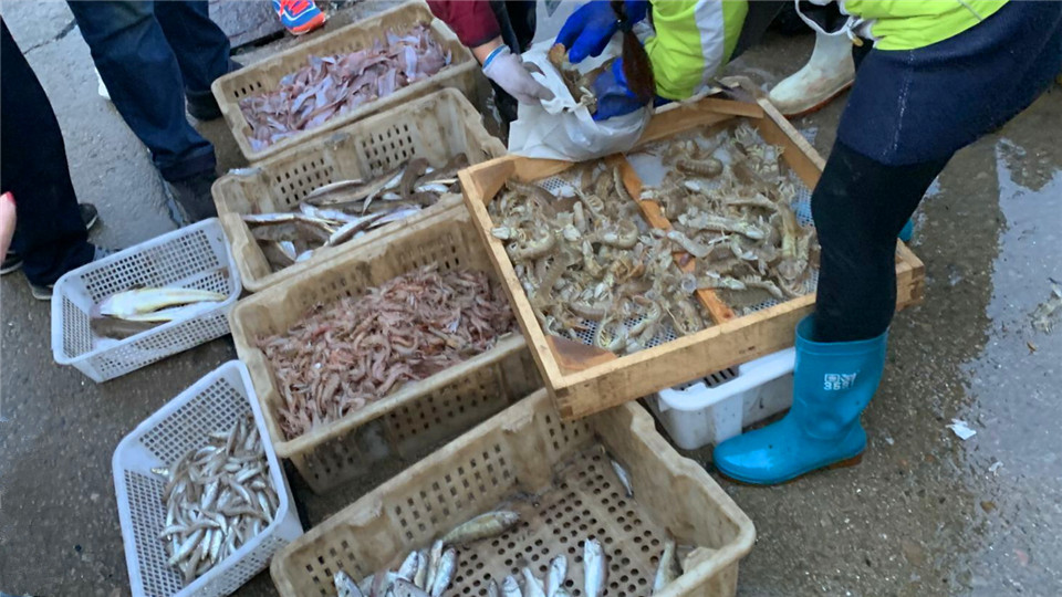 皮皮虾|11月，抓紧吃冬天“第一鲜”，10元1斤，营养极高，别不懂吃