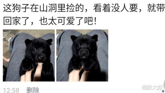 ?“上山捡了条狗，感觉萌萌哒！”网友：它妈找到你，更可爱！哈哈哈