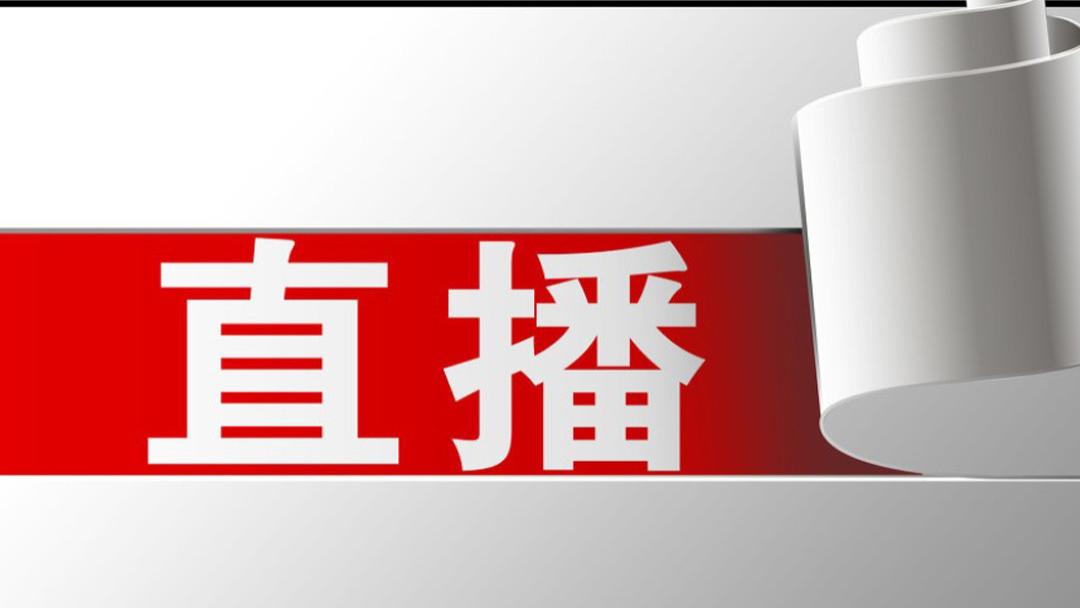 叩响2021春晚大门,再看直播电商的起与落 大门行业,疫情,经济,总台,节目