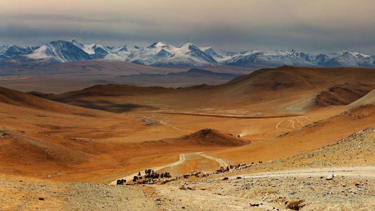 7千万只羊啃坏地表植被，蒙古爆发沙尘暴连累北京，太阳都变蓝了