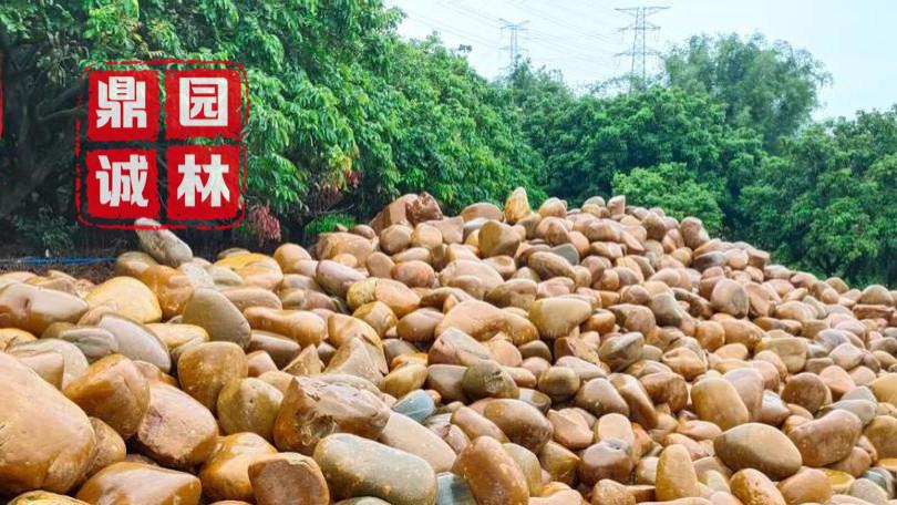 天然黄蜡石庭院景观设计