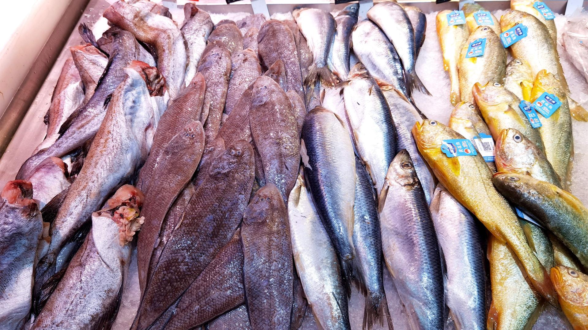 比目鱼|市场遇见这鱼别手软，肉嫩刺少，富含脑黄金，孩子常吃聪明视力好