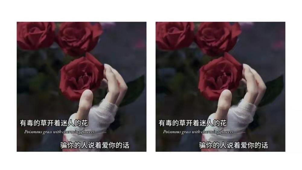 墨陌文案馆|写给太重感情的人