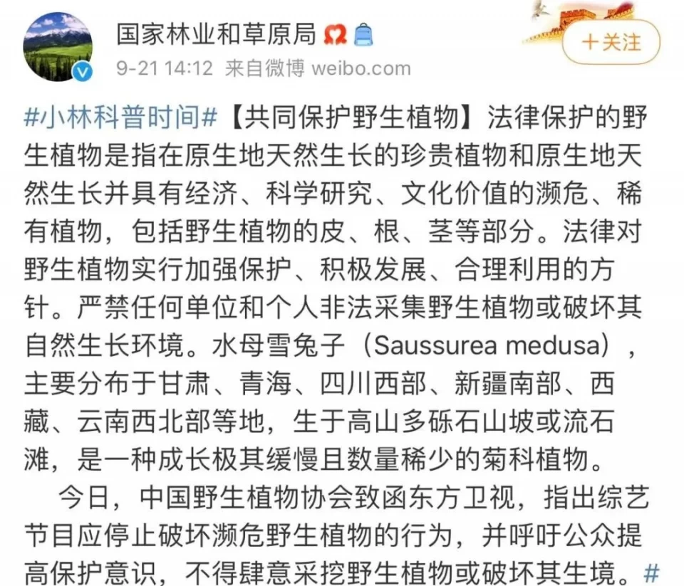 陷害黄磊,黄渤公开拒绝合作:从顶流到垫底,他现在后悔了吗? 陷害黄磊,黄渤公开拒绝合作:从顶流到垫底,他现在后悔了吗?