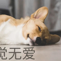 一个不土的土豆