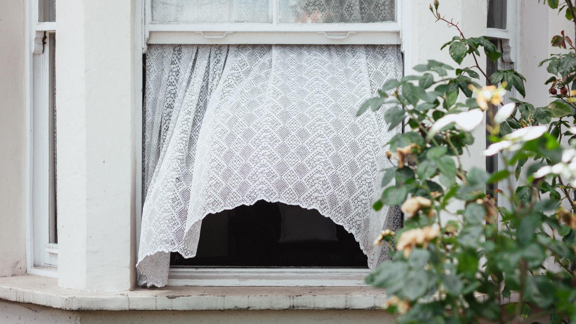 除甲醛的过程中我们遗漏了什么？