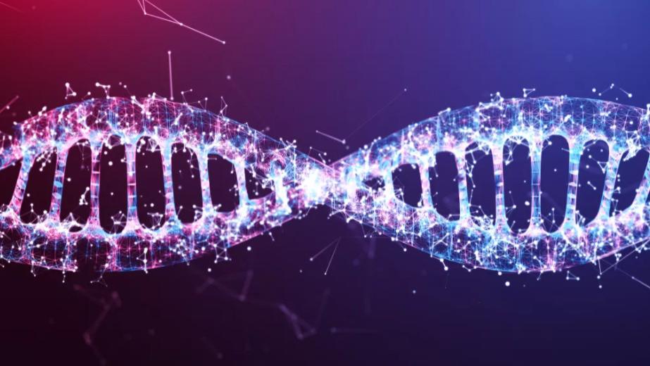天狼星 DNA 如何知道在每个细胞中做什么工作？