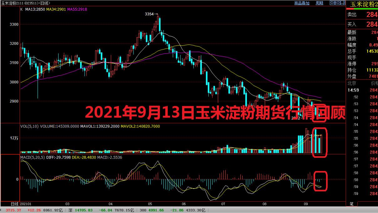 组织架构 2021年9月13日玉米淀粉期货行情回顾