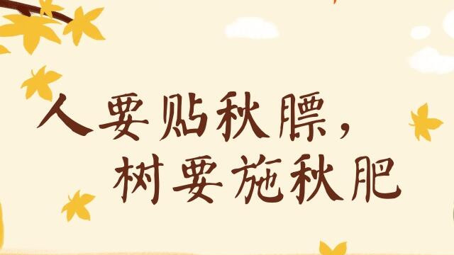 贴秋膘|秋乏需进补