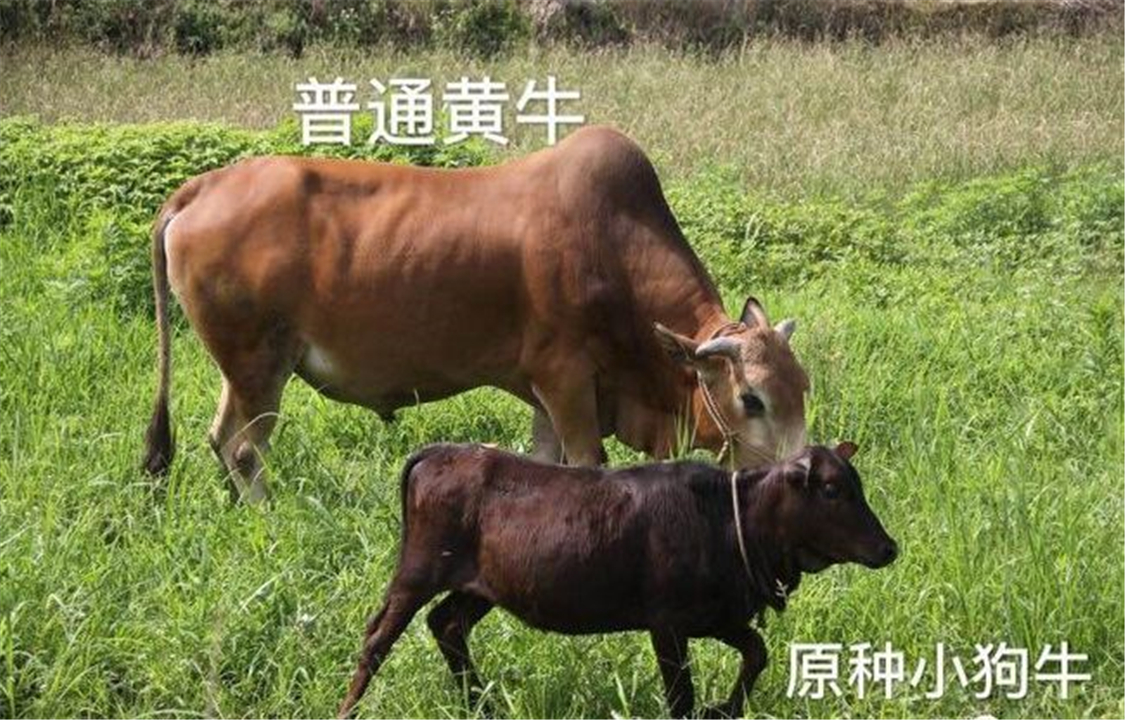 娱乐新闻网