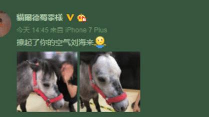 银耳 这大概是女生誓死保卫刘海的原因吧?？