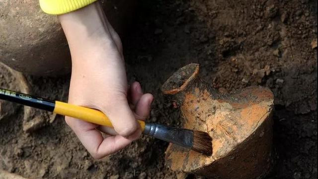 |河南人爱喝的“豫酒六金花”，推荐外地的酒友们都尝一下