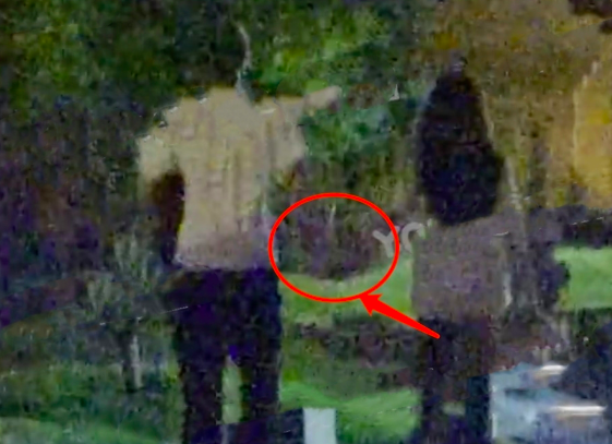 因戏生情？这个男友还不如前男友...