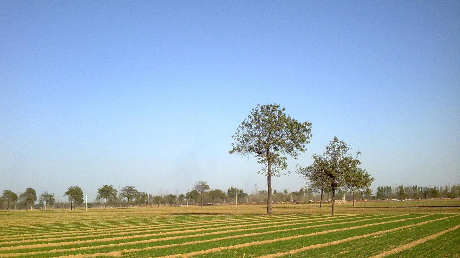 孬蛋儿终于有了自己的小家