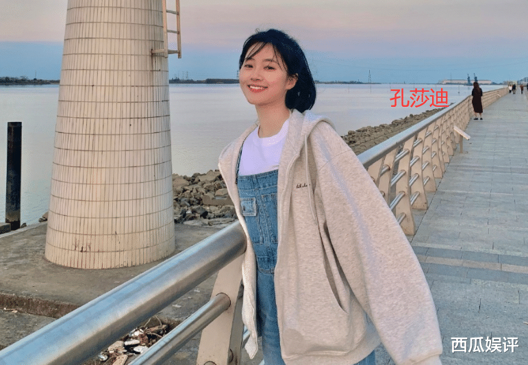 暗格里的秘密翻拍网剧版徐梦洁饰女主丁羡周斯越选角众望所归