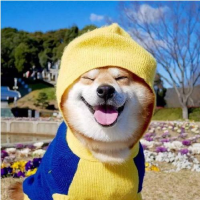 月到风来
