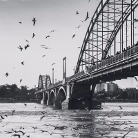 大玉儿影视制作