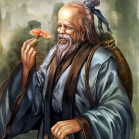 闫先生的趣味