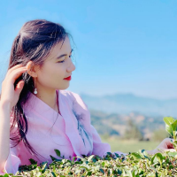七姑娘吖