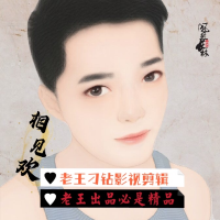 老王刁钻影视剪辑