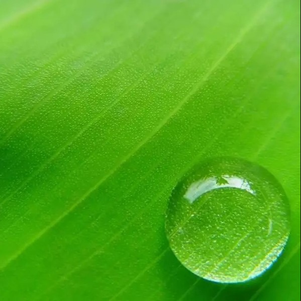 云恋家