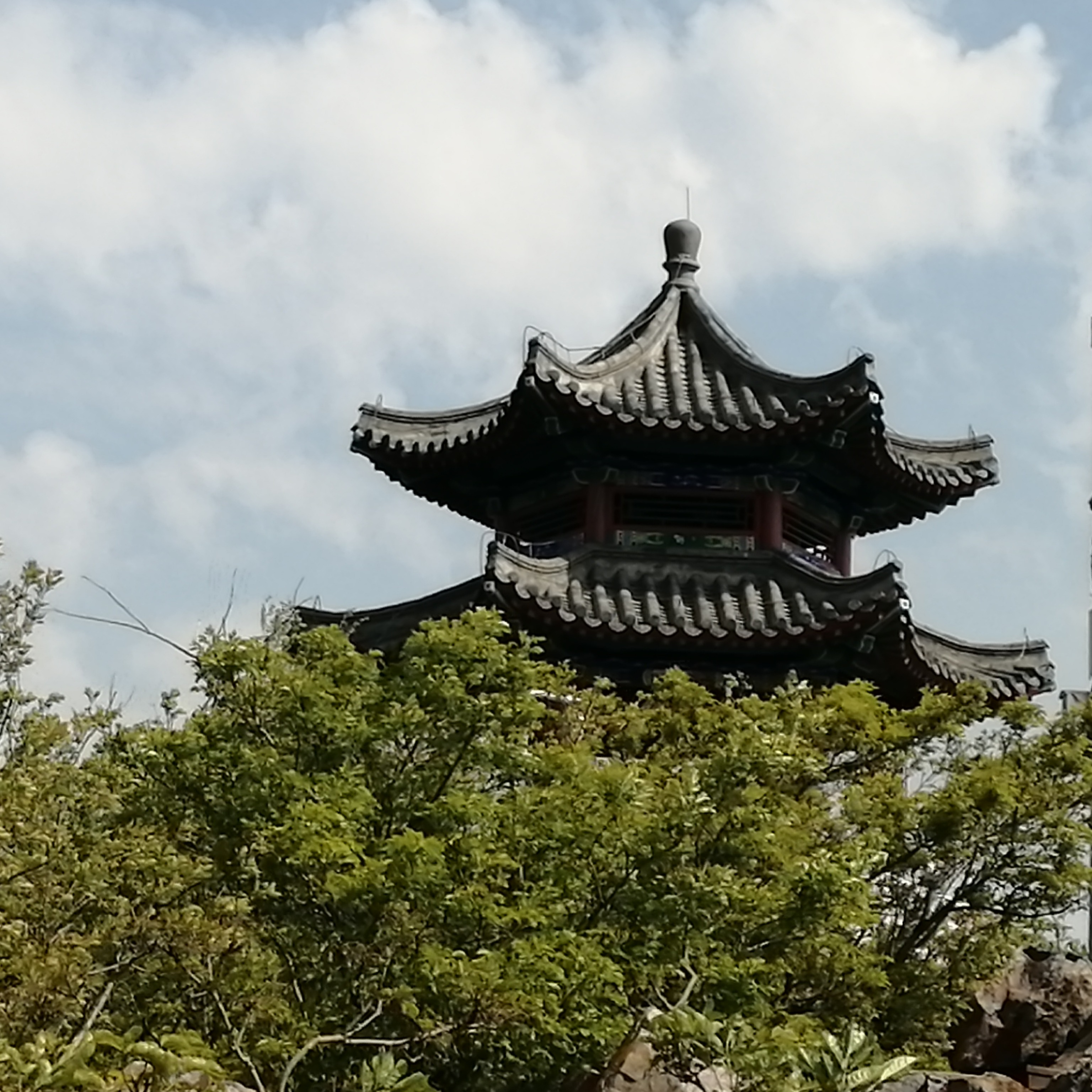 老赵有点忙