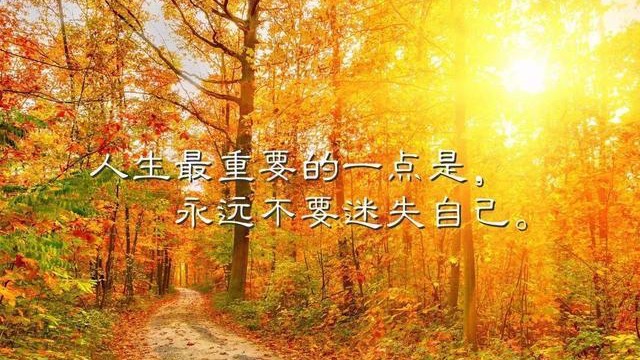 小飞侠熙熙 苦尽甘来懂人生！