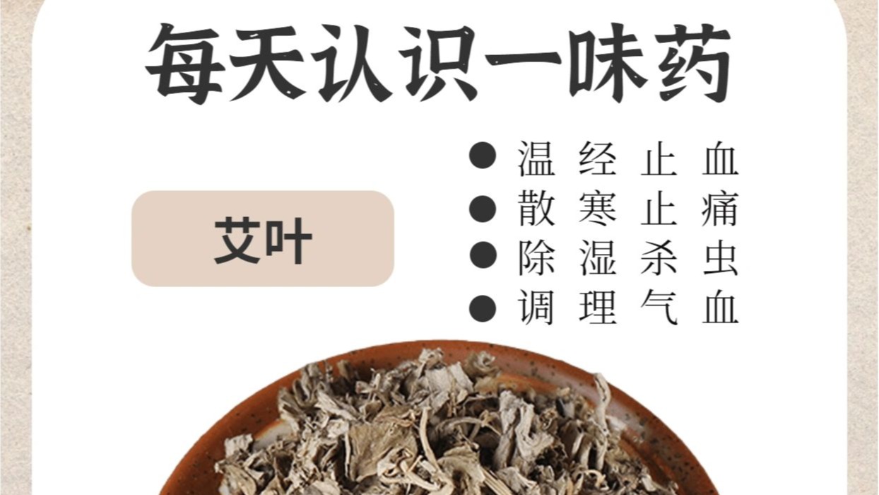 口臭|每天认识一味药