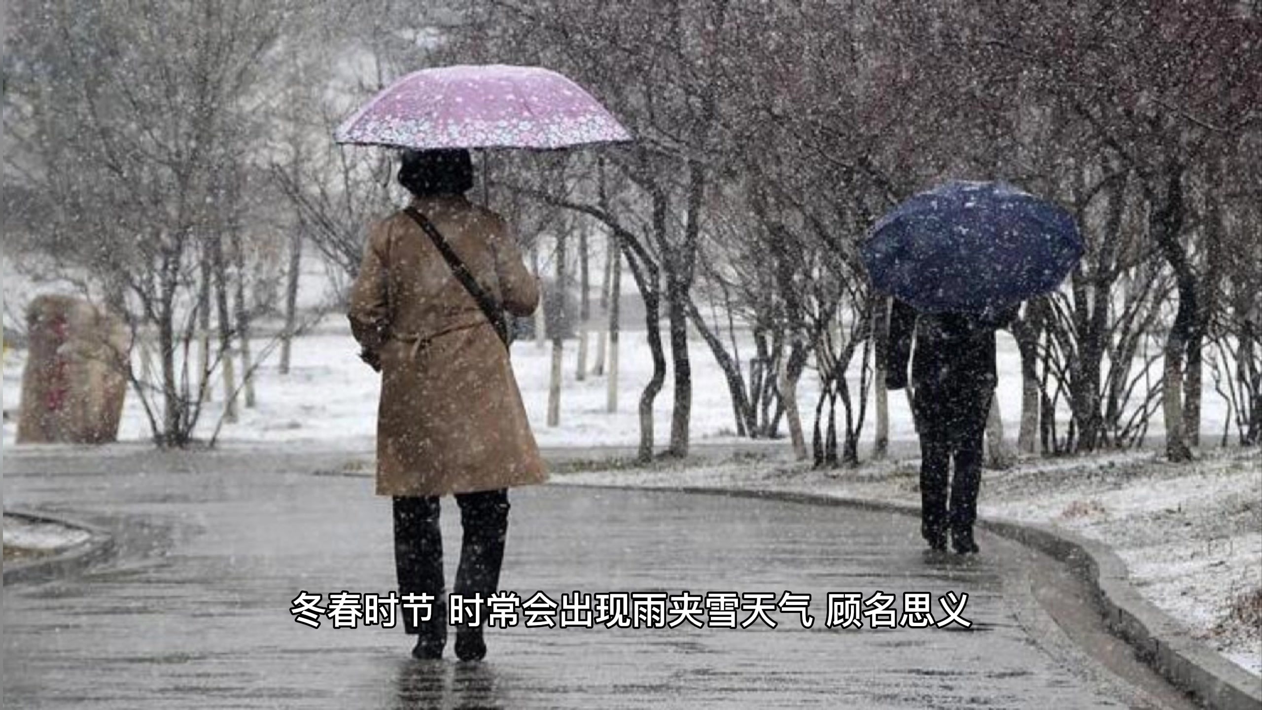 雨夹雪是怎么形成的