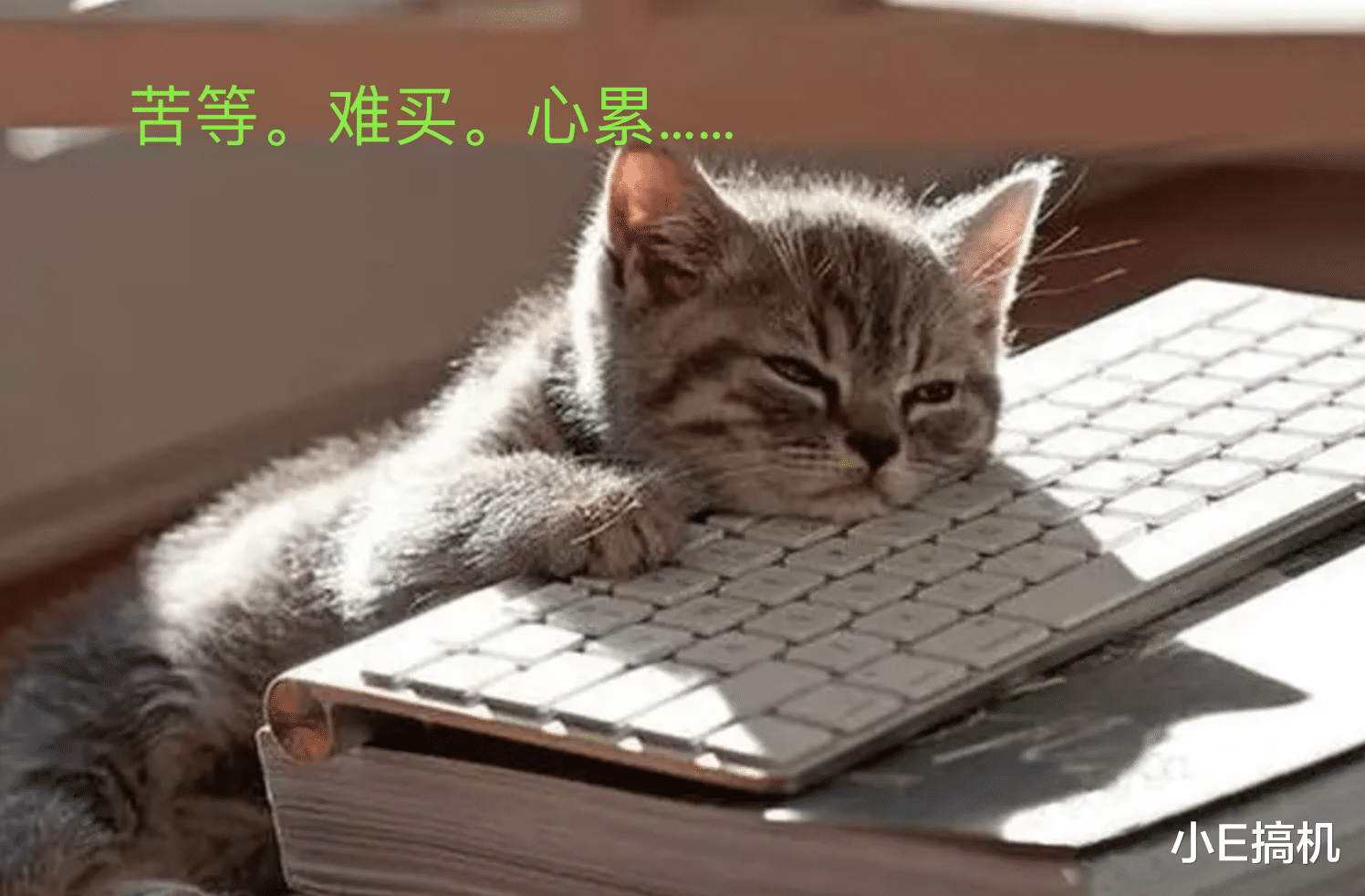 伊隆·马斯克|联想拯救者新款Y9000K国内官宣，亲民属性不如从前，换机怎么选？