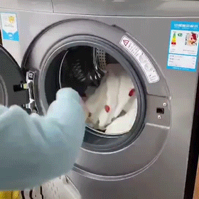 |洗衣机用完后要不要拔掉插头?这么简单的问题,竟然困扰了我多年