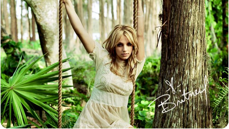 布兰妮·斯皮尔斯|“小甜甜”布兰妮出嫁，穿着造型另类，前夫大闹婚礼现场被捕。