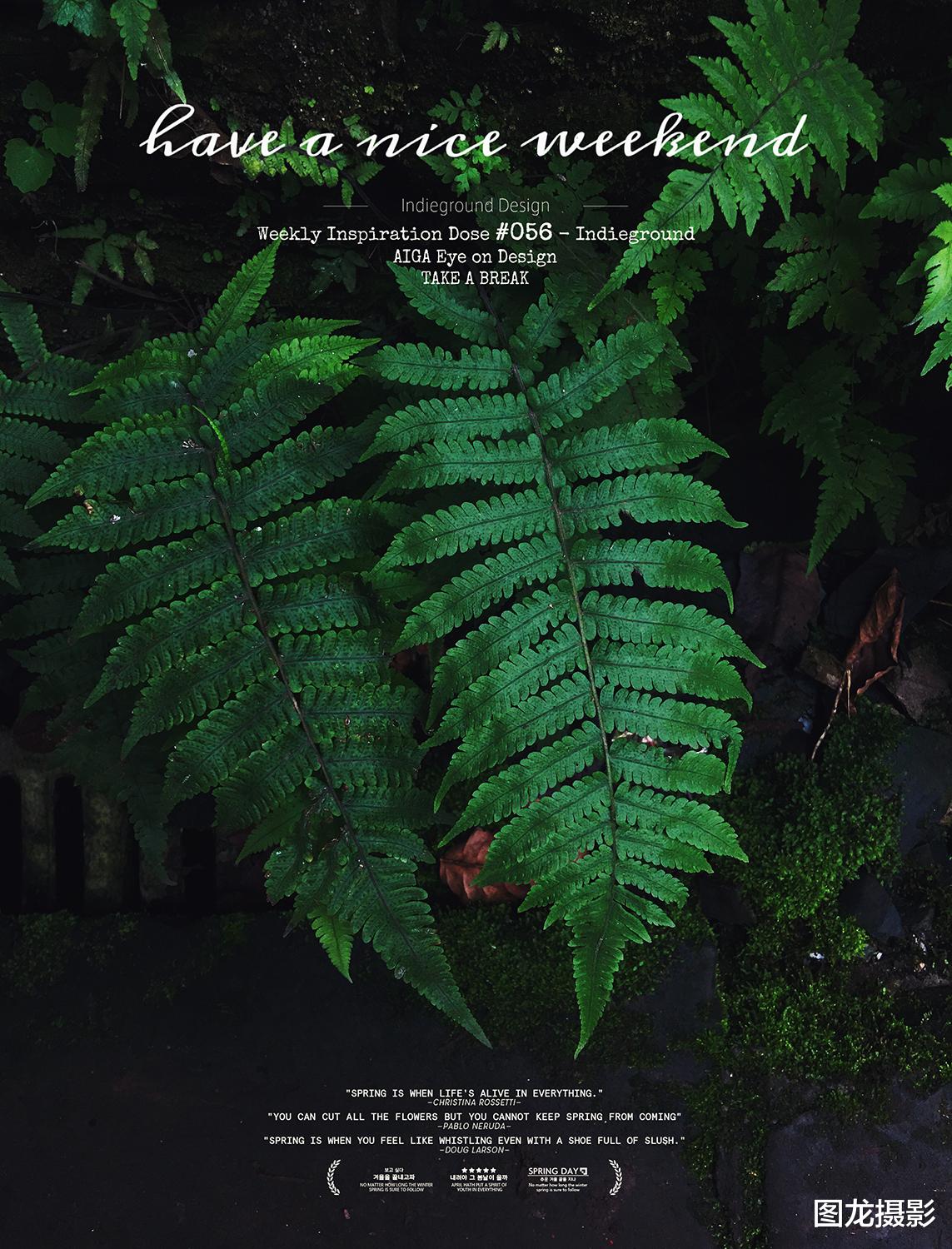 英特尔|手机摄影有哪些局限?有哪些技巧?可以帮助我们拍出更多的好照片