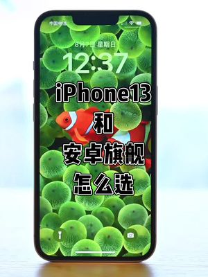 |打大型游戏 经常拍照 选择iPhone 13 还是选择安卓旗舰