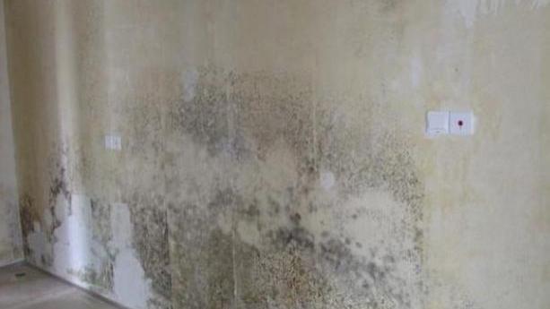 家里别再贴墙纸了，没过两年就发霉，现在都是用这个代替