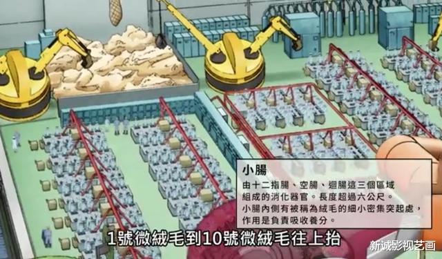 工作细胞|分享15张科普动画《工作细胞》里面的CG知识图片