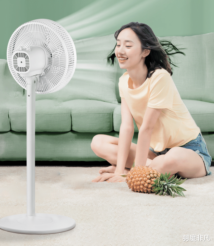 電風扇|預算100元也能買到臺地兩用風扇？3家廠商競爭，最低不到80元