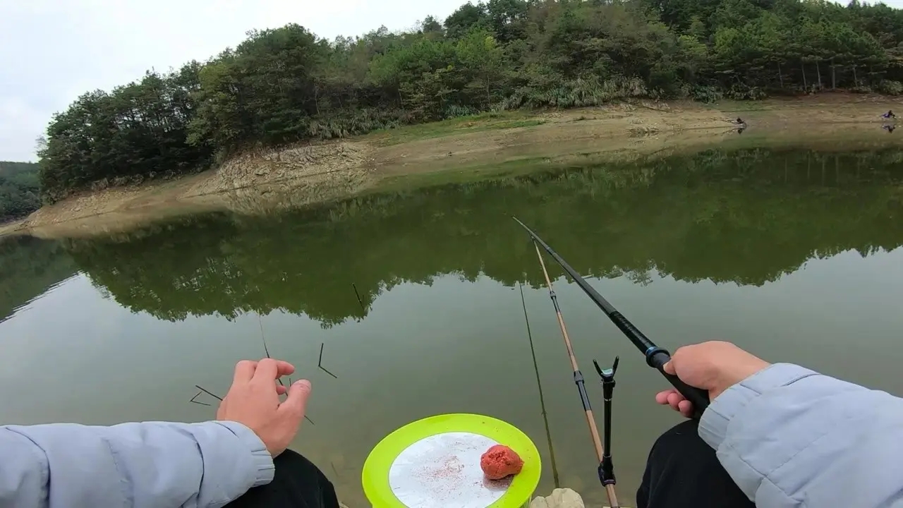 青苔|总觉得别人的钓位好，换过去依旧钓不好，究其原因是这两点没做好