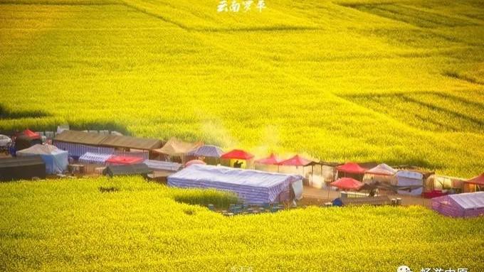 罗平|待春暖花开的三月，一起到罗平去看看那漫山遍野的油菜花