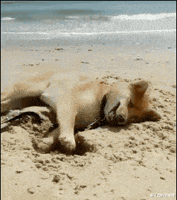 投影仪|女老师课后忘关投影仪，搜索记录被公开