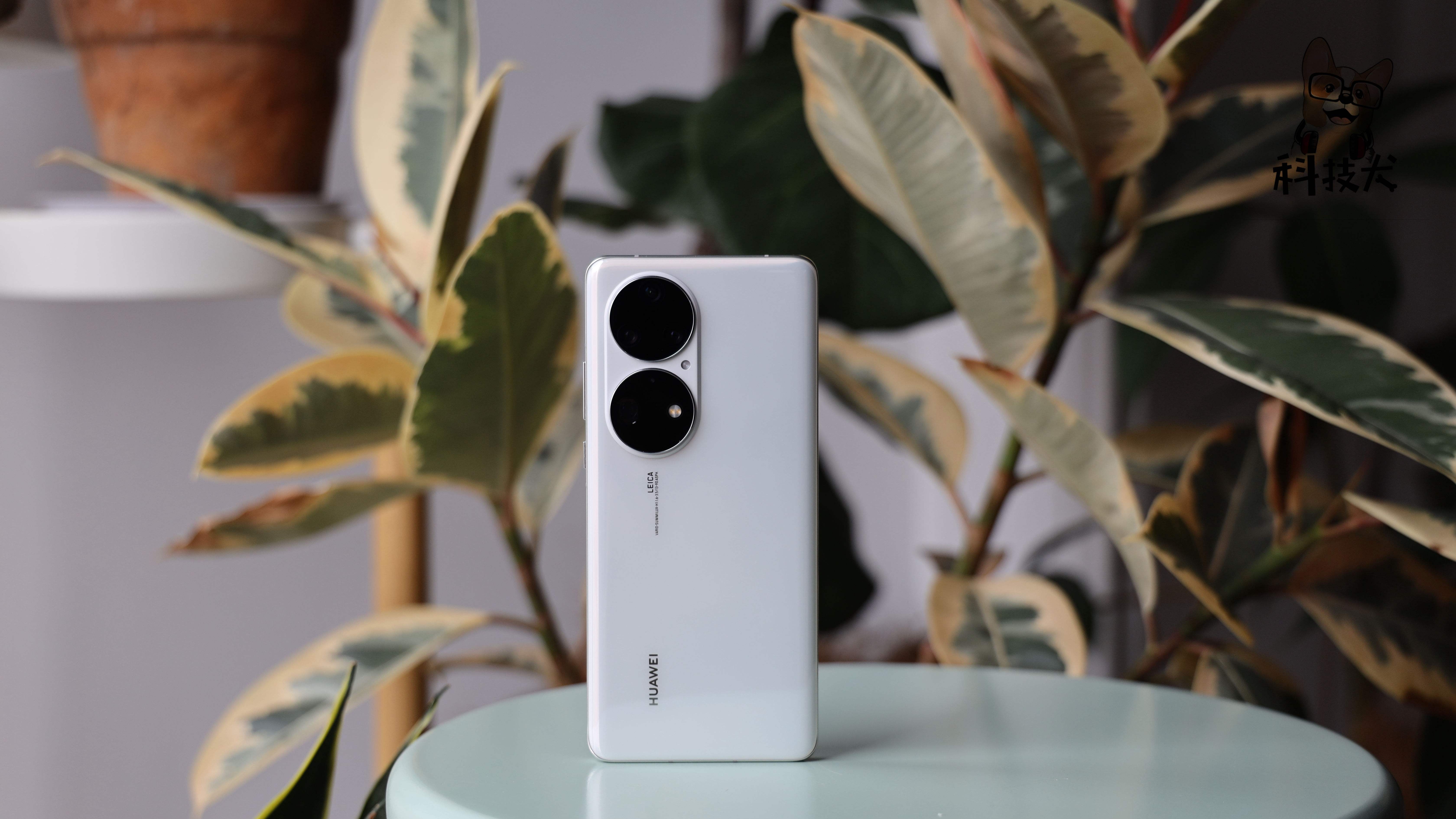 一加科技|端午小长假不出游?这三款人气机型适合组团开黑,闭眼入不后悔